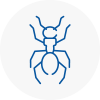 Ant Removals In Mansfield