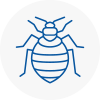 Bed Bug Extermination In Mansfield