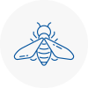 Bee Nest Removal Mansfield