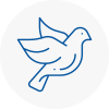 Bird Prevention Mansfield