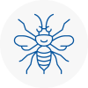 Mansfield Hornet Nest Removals