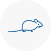 Mice Exterminators In Mansfield
