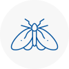 Moth Control Specialists In Mansfield