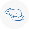 Rat Control Mansfield