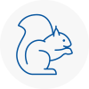Mansfield Rodent Removals