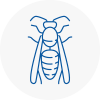 Mansfield Wasp Nest Removal